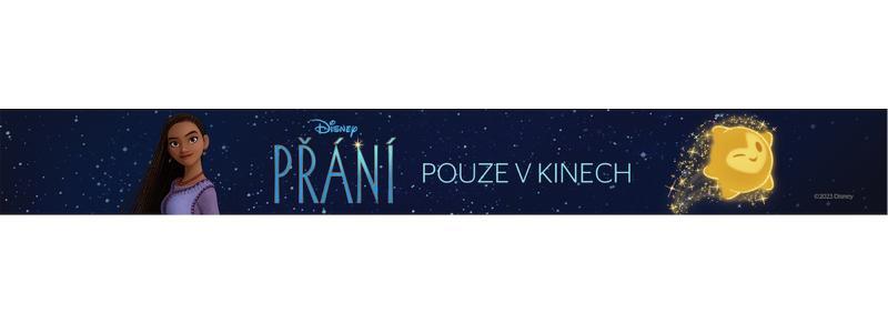 disney wish logo banner prani pouze v kinech