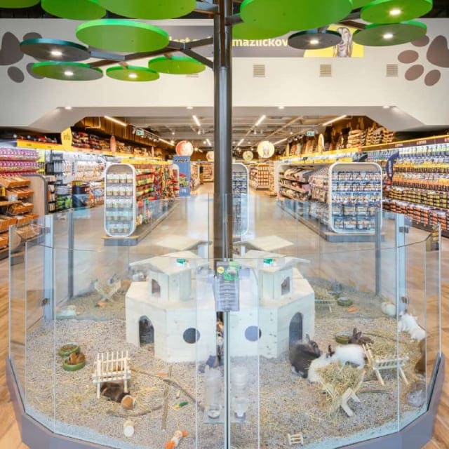 A live rabbit enclosure in the Super Zoo shop